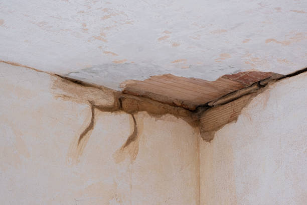 Best Flooded house restoration  in Shackle Island, TN