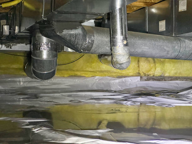 Best Fire Damage Restoration  in Shackle Island, TN